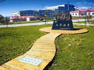 芜湖天华矿业集团