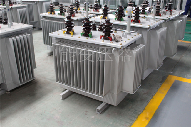 芜湖S22-250KVA/10KV变压器